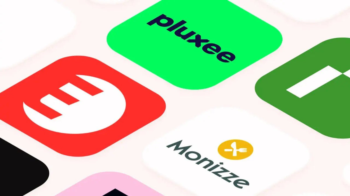 Edenred, Pluxee Of Monizze: Geschiedenis, Schaal En Online Betalen Vergeleken - ecochequesonline