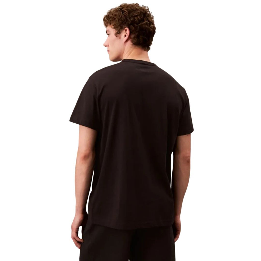 Calvin Klein T-Shirt Heren Logo