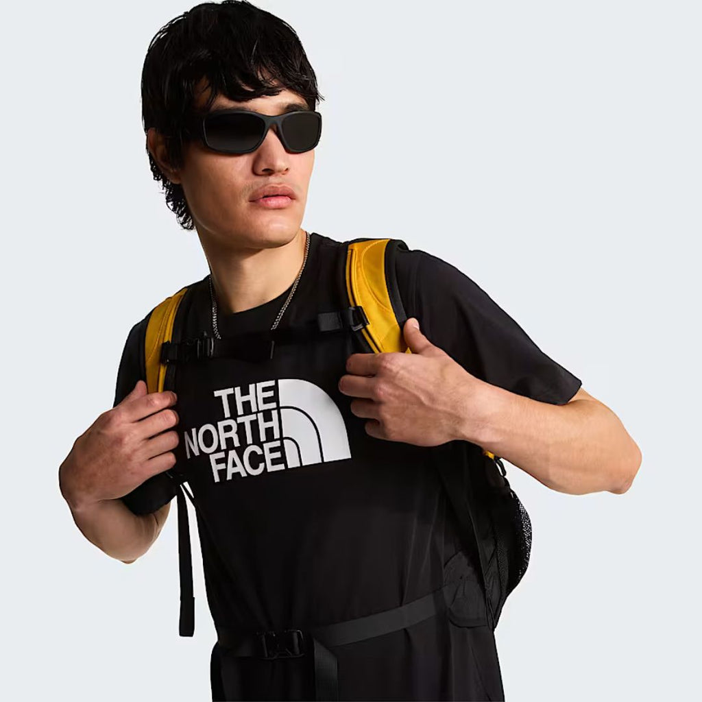 The North Face T-shirt Heren Half Dome