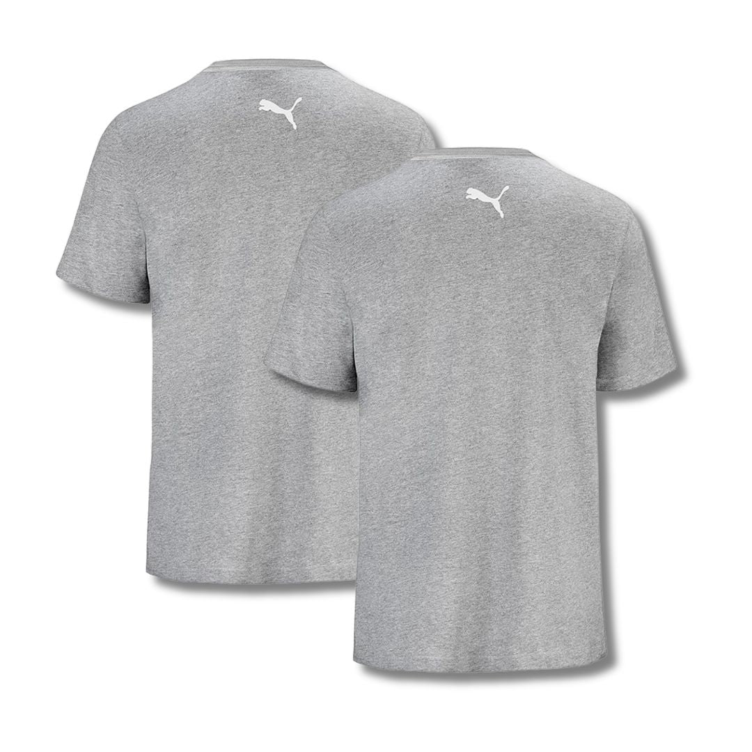 PUMA T-shirts 2-Pack Heren Grijs