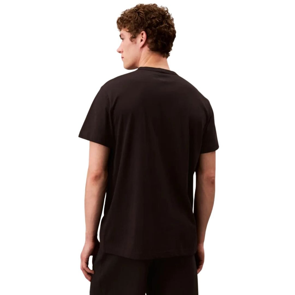 Calvin Klein T-Shirt Heren Logo kopen met ecocheques | ecochequesonline.be