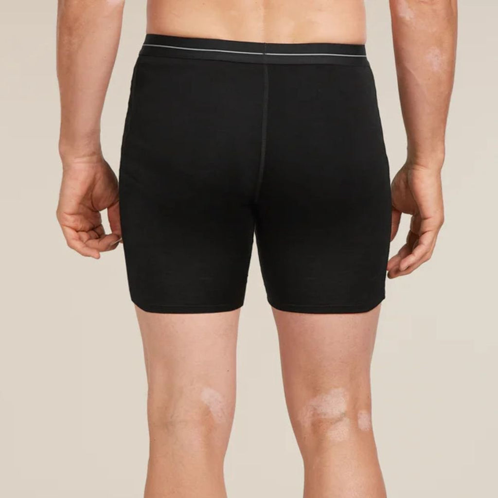 Icebreaker merino Boxershorts Heren Long kopen met ecocheques | ecochequesonline.be