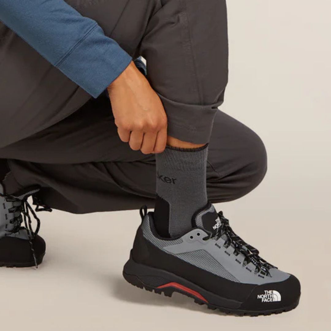 Icebreaker merino wandelsokken dames Lichte Demping kopen met ecocheques | ecochequesonline.be