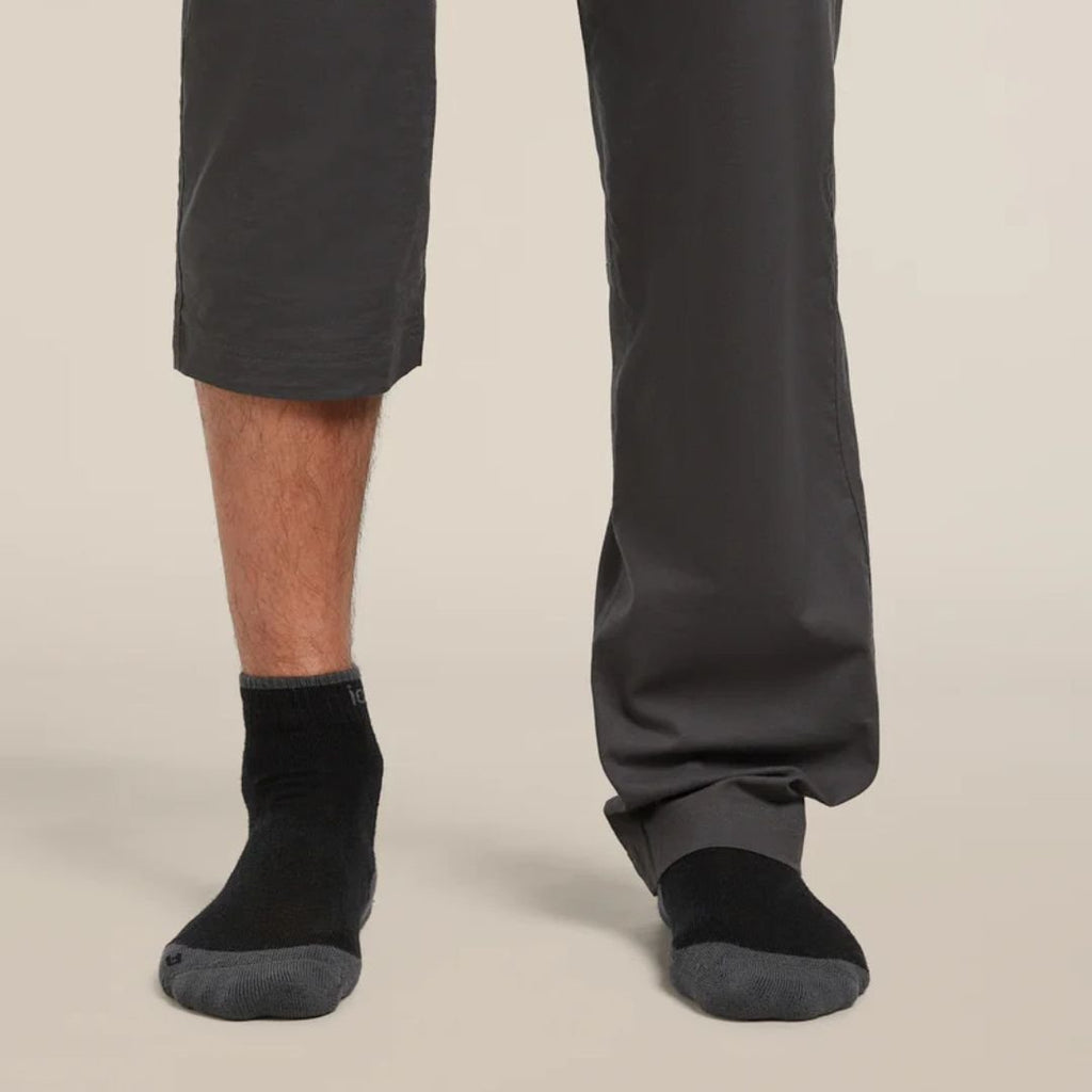 Icebreaker Merino Wandelsokken Heren (enkelsokken) Lichte Demping kopen met ecocheques | ecochequesonline.be