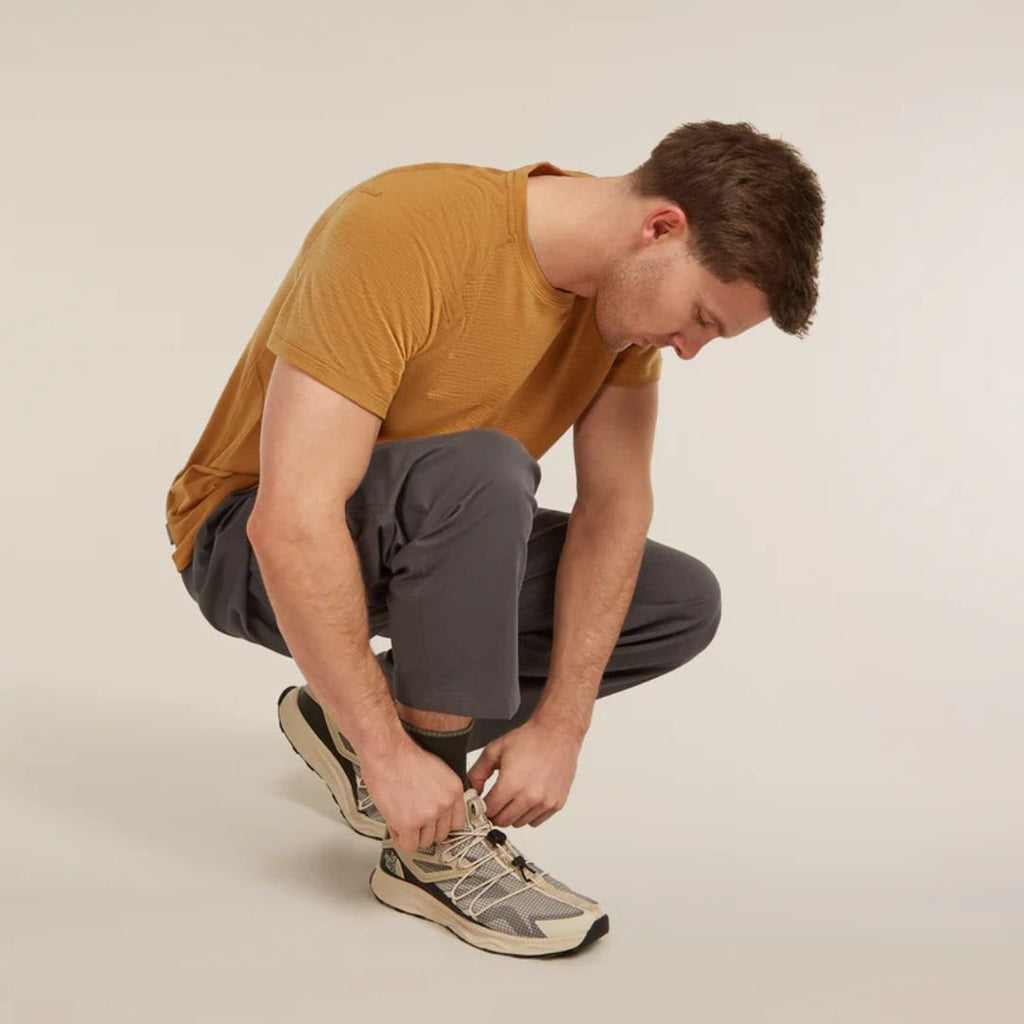 Icebreaker merino wandelsokken heren Lichte Demping kopen met ecocheques | ecochequesonline.be