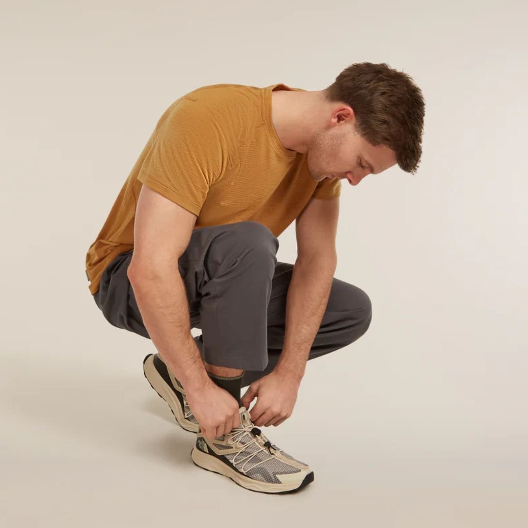 Icebreaker merino wandelsokken heren Lichte Demping kopen met ecocheques | ecochequesonline.be