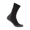 Icebreaker merino wandelsokken heren Lichte Demping kopen met ecocheques | ecochequesonline.be