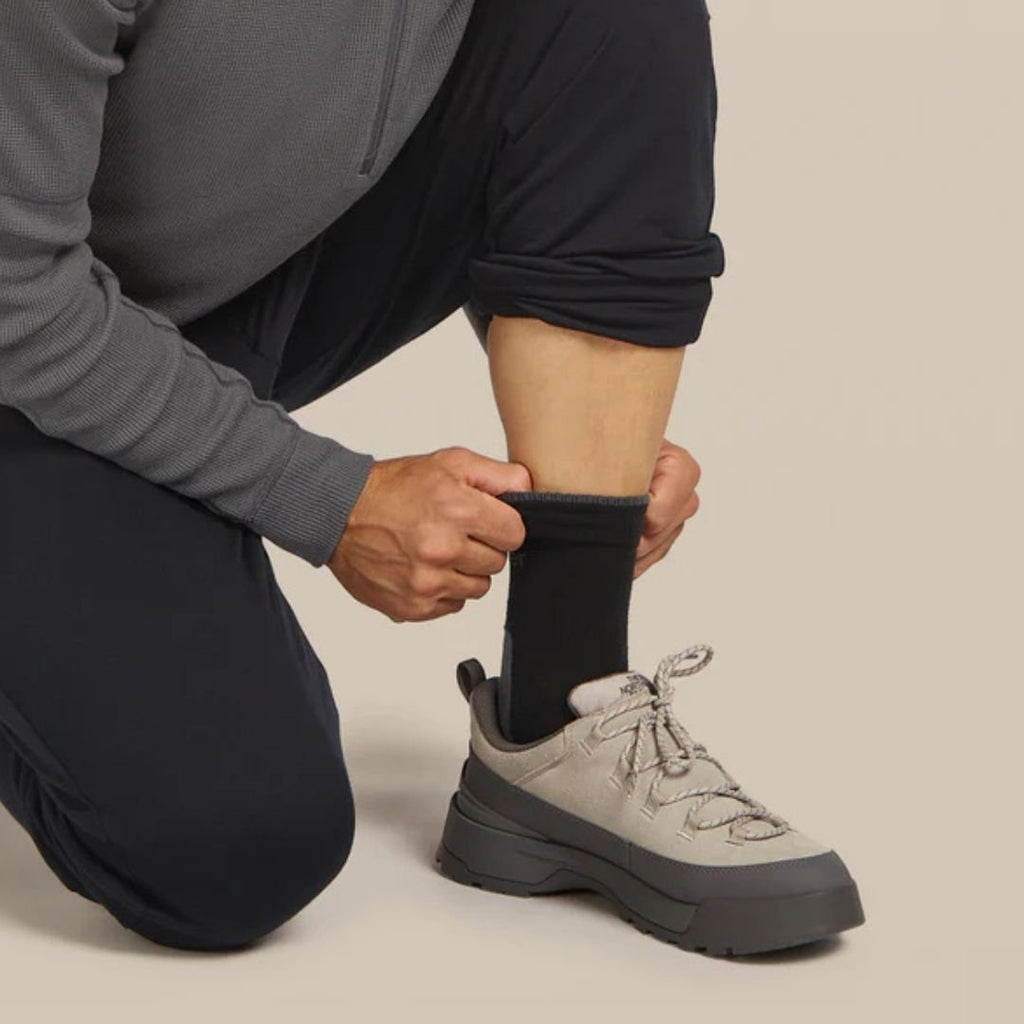 Icebreaker merino wandelsokken heren Lichte Demping kopen met ecocheques | ecochequesonline.be
