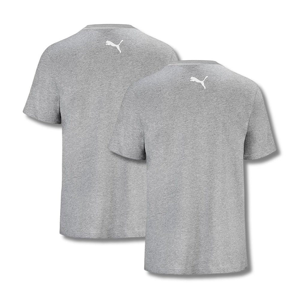 PUMA T-shirts 2-Pack Heren Grijs kopen met ecocheques | ecochequesonline.be