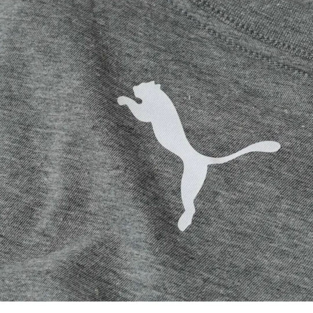 PUMA T-shirts 3-Pack Heren Grijs kopen met ecocheques | ecochequesonline.be